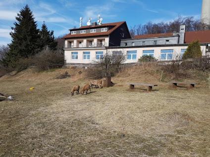 Berggasthof Zum Steira Schotten Dış mekan fotoğraf